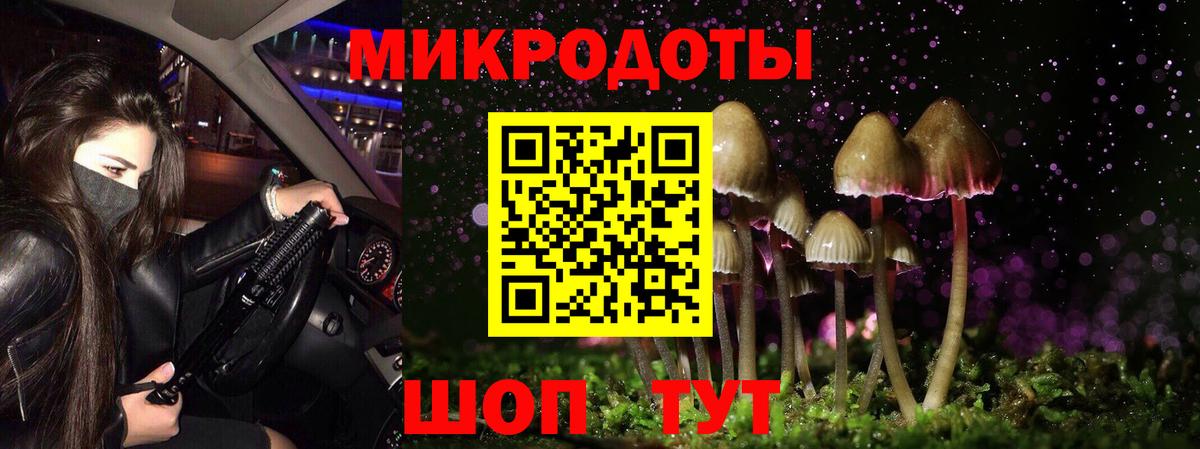 Псилоцибиновые грибы GOLDEN TEACHER  наркотики  Вход с VPN  Алексеевка  Псилоцибиновые грибы MAGIC MUSHROOMS 